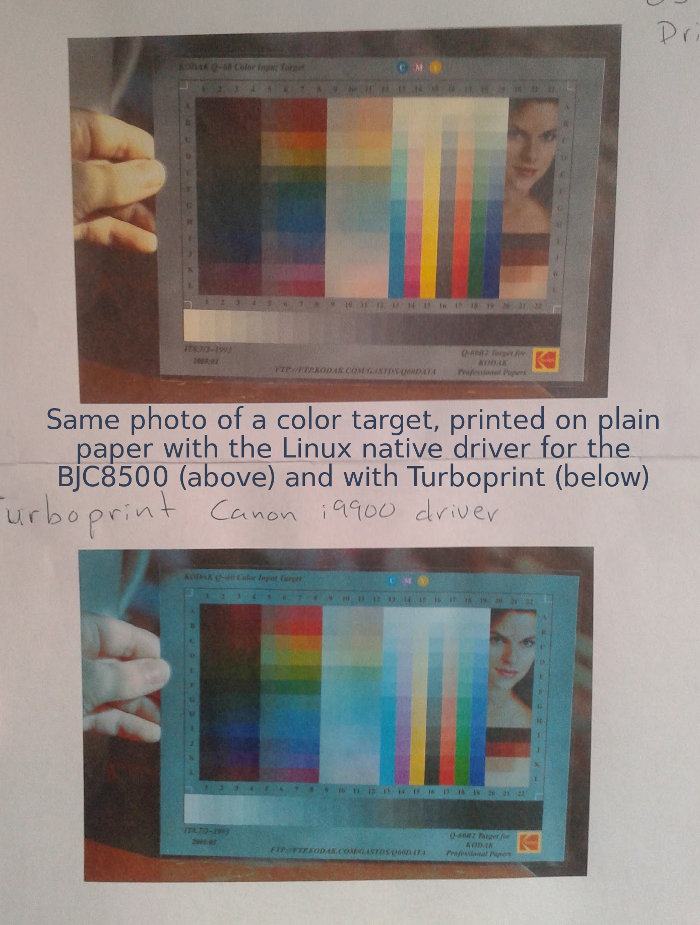 Color target printed on plain paper with BJC8500 and Turboprint