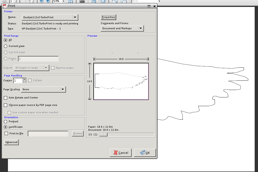 Adobe Acrobat setup just prior to sending the above print command